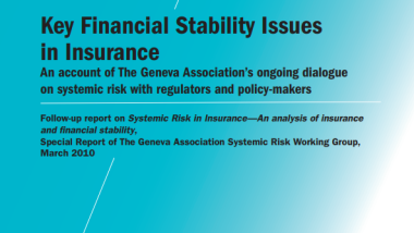 Key Financial Stability Issues in Insurance