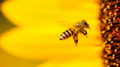 Insurers are innovating to address nature loss