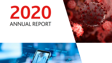 Annual Report 2020