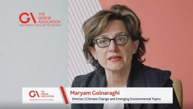 Achieving next-generation climate risk modelling | Maryam Golnaraghi