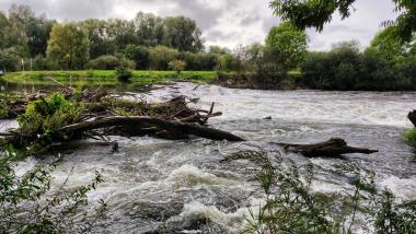 Flood Risk Management in Germany | Virtual Roundtable