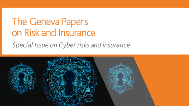 The Geneva Papers: Special issue on Cyber risks and insurance  | Summary