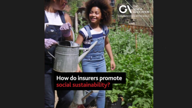 How do insurers promote social sustainability?