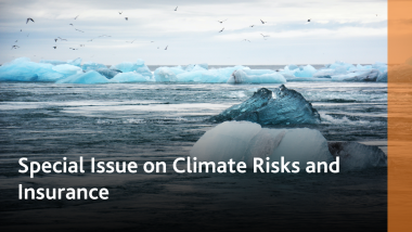 The Geneva Papers: Special Issue on Climate Risks and Insurance | Summary