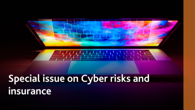 The Geneva Papers: Special issue on Cyber Risks and Insurance  | Summary