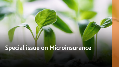 The Geneva Papers: Special issue on Microinsurance | Summary