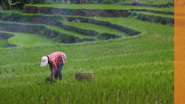 Call for Papers | Microinsurance