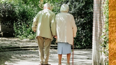 The Geneva Papers: Special issue on Longevity Risks | Summary 