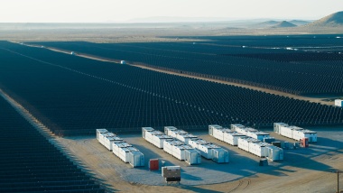 Expediting Sectoral Decarbonisation: Strategic implications for the insurance industry