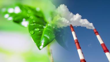 Climate Change Litigation 2: Classification and implications for insurers