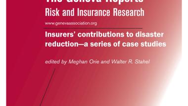 Insurers’ contributions to disaster reduction—a series of case studies