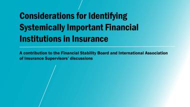 Considerations for Identifying Systemically Important Financial Institutions in Insurance