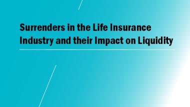 Surrenders in the Life Insurance Industry and their Impact on Liquidity