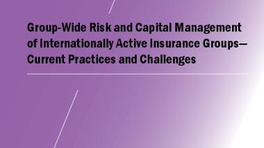Group-Wide Risk and Capital Management of Internationally Active Insurance Groups - Current Practices and Challenges