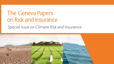 The Geneva Papers: Special Issue on Climate Risks and Insurance | Summary