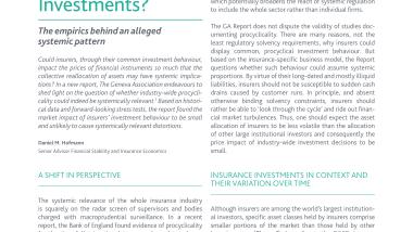 Issue Brief: Insurance Sector Investments and Their Impact on Financial Stability