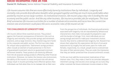 Issue Brief 2:  Protracted low interest rates may place the life insurance industry's socio-economic role at risk