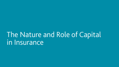 The Nature and Role of Capital in Insurance