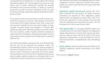 Issue Brief: The Nature and Role of Capital in Insurance