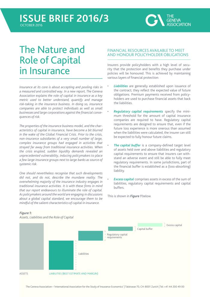the_nature_and_role_of_capital_in_insurance_issuebrief_0.pdf.jpg