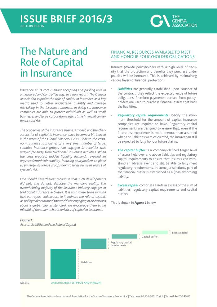 the_nature_and_role_of_capital_in_insurance_issuebrief_0.pdf.jpg the_nature_and_role_of_capital_in_insurance_issuebrief_0.pdf.jpg