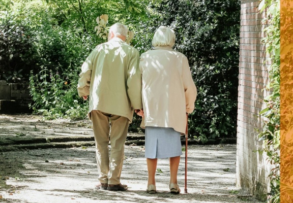 The Geneva Papers: Special issue on Longevity Risks | Summary