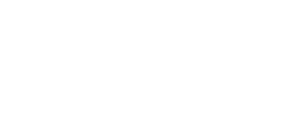 The Geneva Association